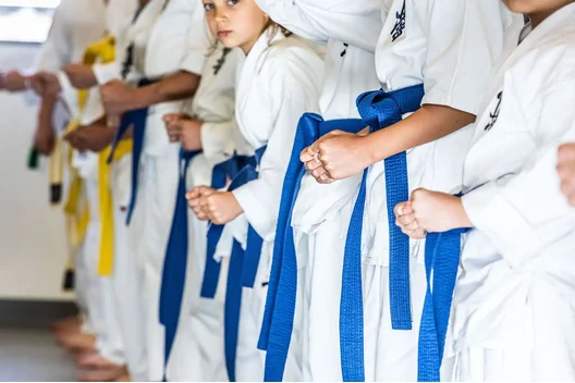 کاراته کیوکوشین