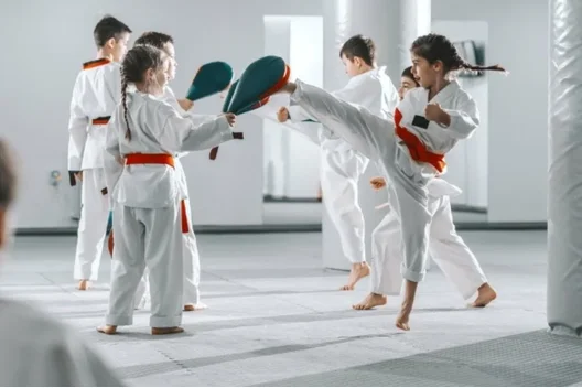 آیا کلاس ‌های رزمی باعث خشونت کودک می ‌شود؟