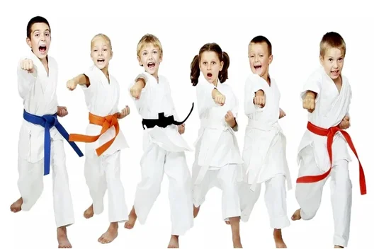 تاریخچه کاراته